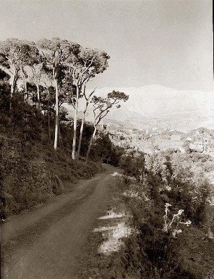 izraelis_palestina_haifa_1930_08.jpg
