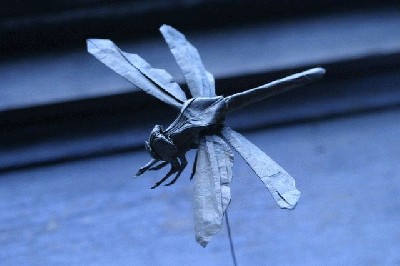 dragonfly.jpg