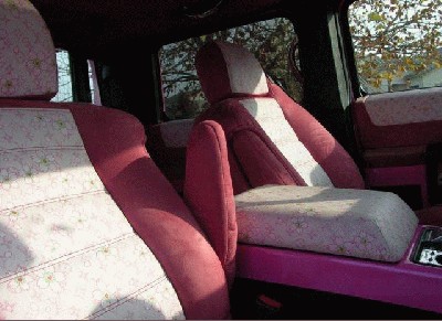 humvee_blondine_4.jpg