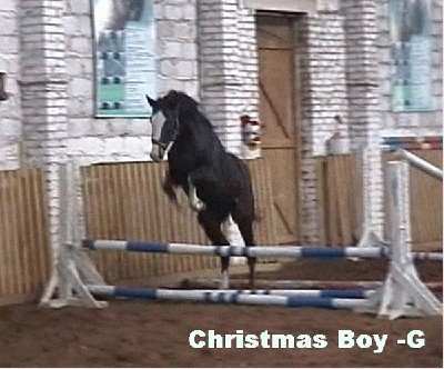 christmas_boy_g_01.jpg