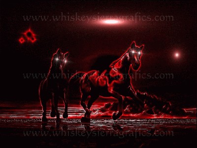 wild%20horses%20-%20II-infrared.jpg