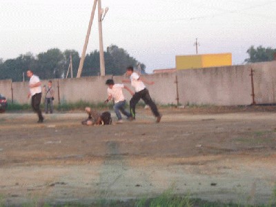 futbolo_fanatai_12.jpg