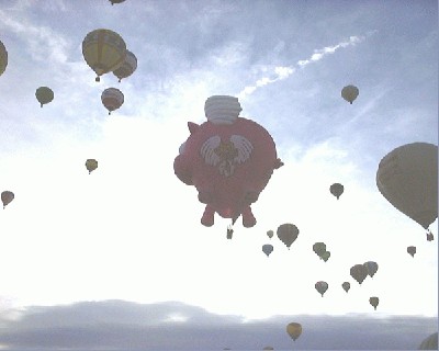 flyingpig.jpg