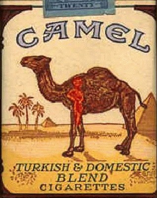 camel_expl.jpg