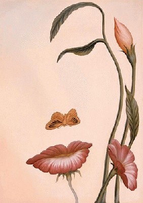 art_illusions2.jpg