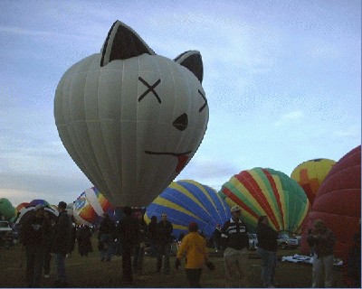 dead_cat_balloon.jpg