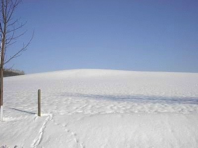 winter-004.jpg