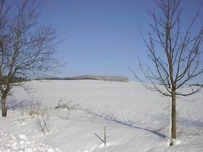 winter-003.jpg