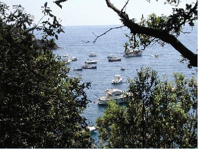 boats.sea.jpg