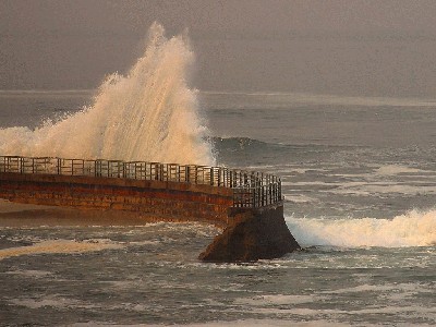 water2.jpg