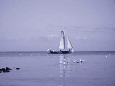 0053_0008103.jpg