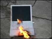 lg.jpg