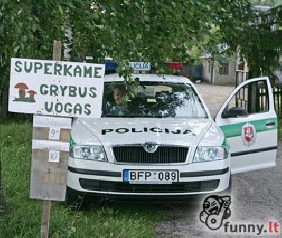 grybai.jpg