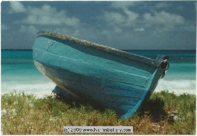 blue_boat.jpg