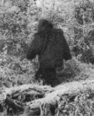 bigfoot.jpg