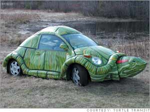 turtle_gal[1].jpg