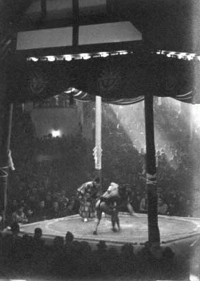 sumo wrestlers.jpg