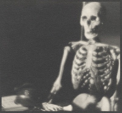 Skeleton at Kyoto medical university.jpg