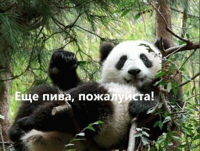 Dar...prasom.jpg
