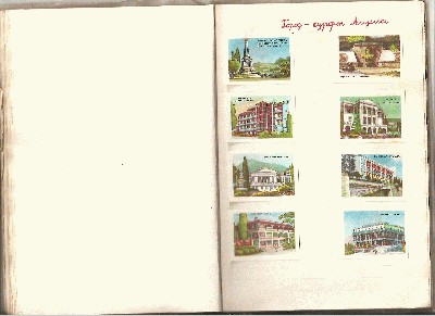 29.JPG