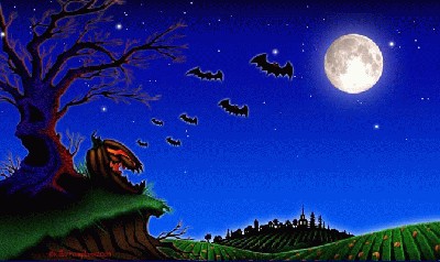 Pumpkin Patch.jpg