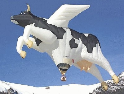 1180208451_crazy_hot_air_balloon_14.jpg