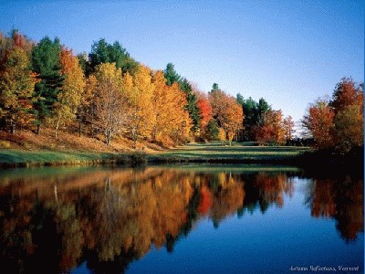 ruduo (3).jpg