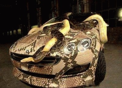 Snake-Skin-Car01.jpg