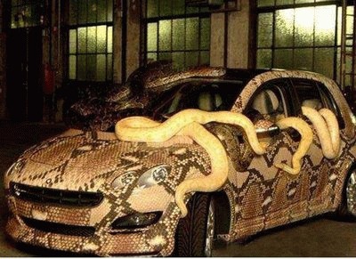 Snake-Skin-Car02.jpg