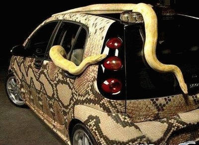 Snake-Skin-Car03.jpg