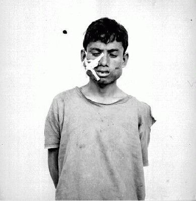 pic12.jpg