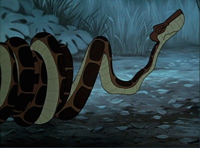 kaa_01.jpg