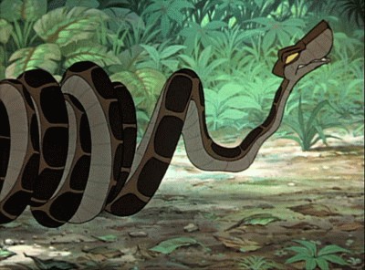 kaa_02.jpg