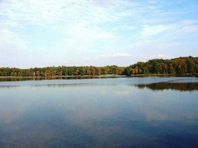 2.Ant pelkiu-ir-vandens telkiniu.JPG