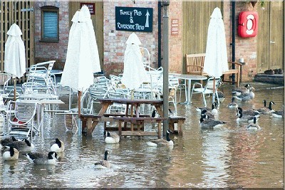 london2007.jpg