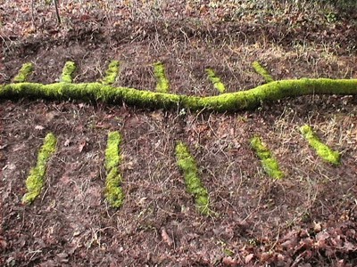 land_art3.jpg