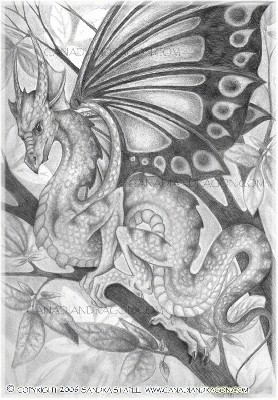 dragon-fairy.jpg