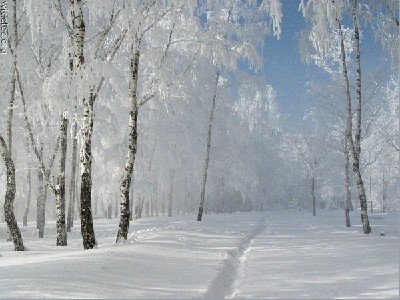 salta-diena.jpg