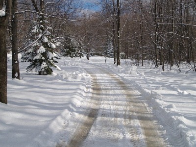 PB290066.JPG