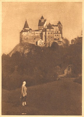 Castelul_Marie-Bran.jpg