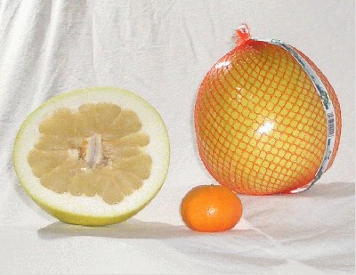 pomelo_honey.jpg