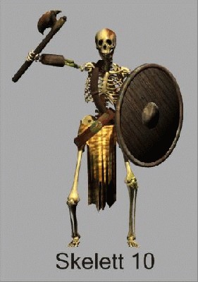 skelett10_480.jpg