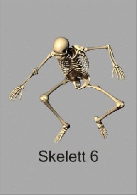skelett6_480.jpg