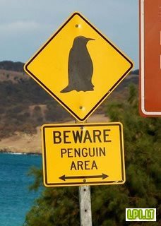 1231025890_38-p-p-p-penguins.jpg