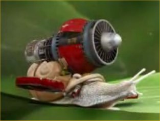 snail-transformer.jpg