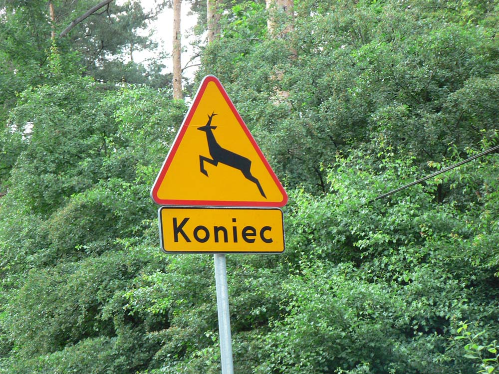 koniec.jpg