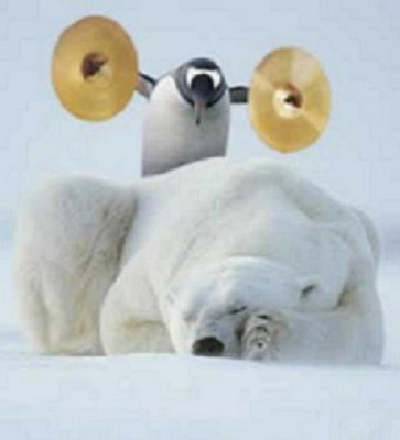 penguin-bear-snow-white.jpg