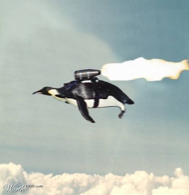 344-penguin-fly.jpg