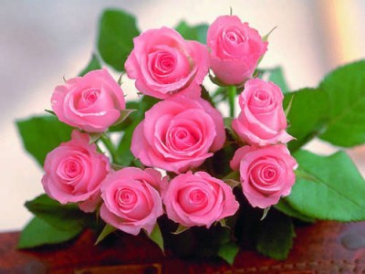 rozes min.jpg