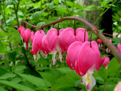 DSCF8410.JPG